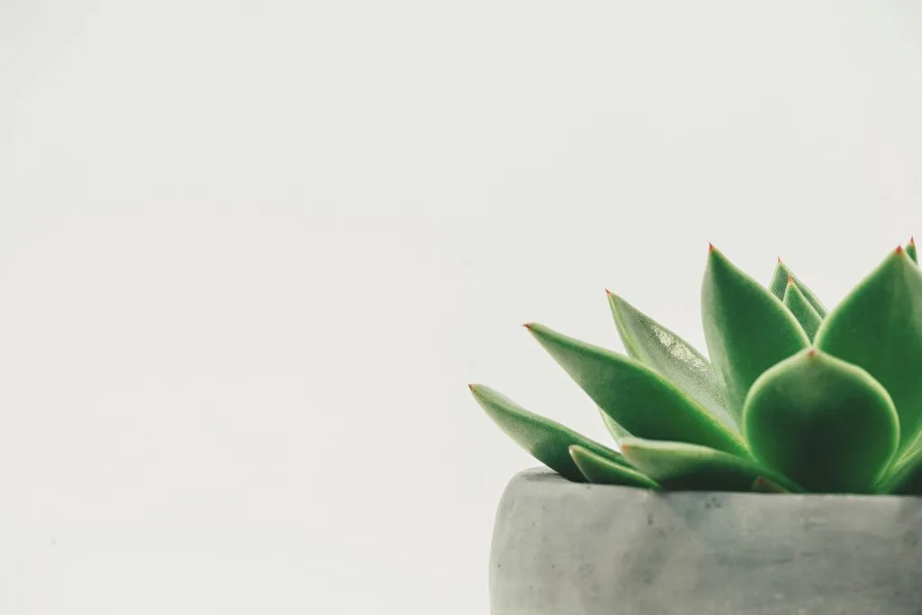 lugn och fokus med en dos lagom positiv stress