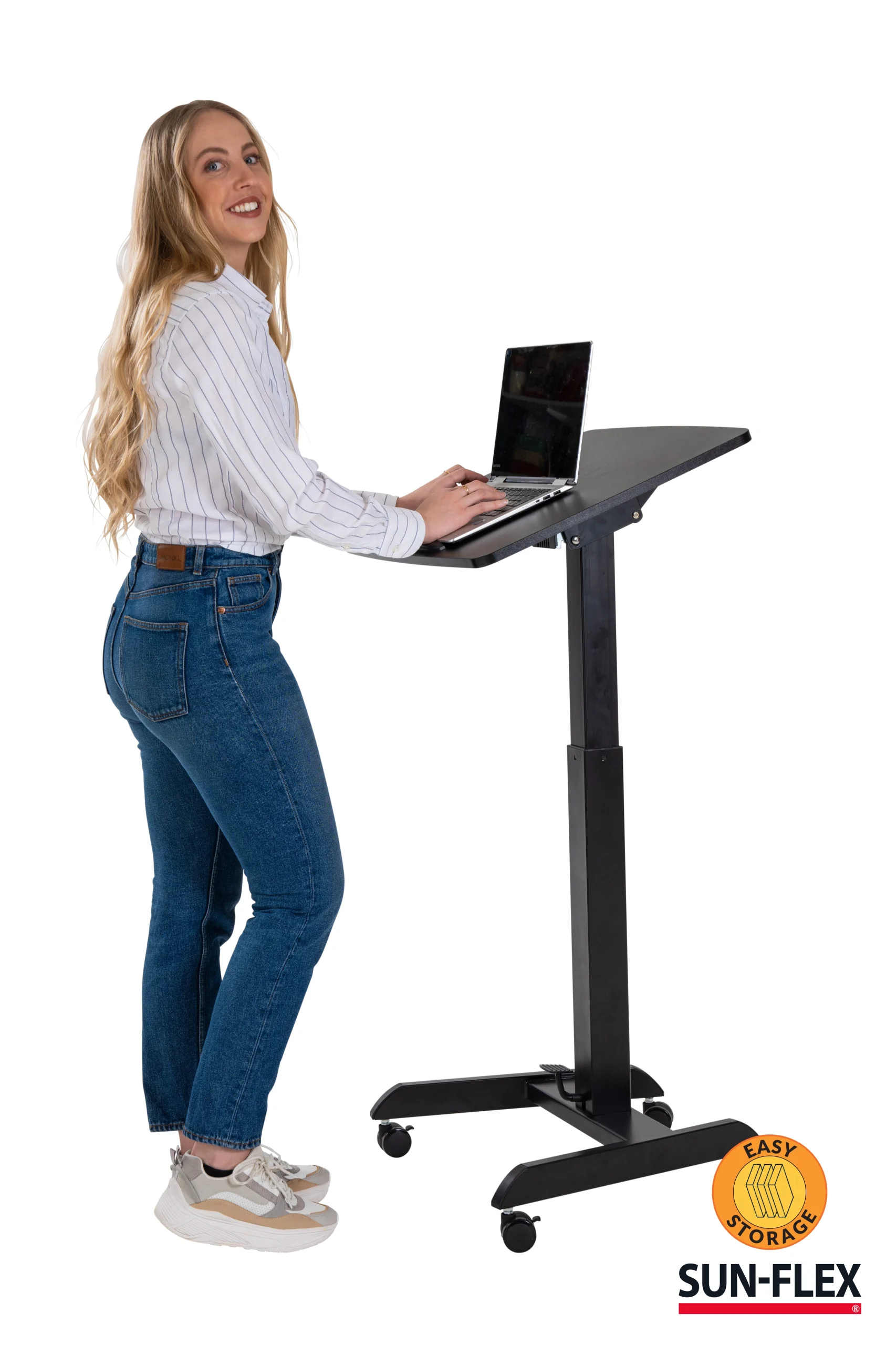 Easydesk PRO - Bild 2