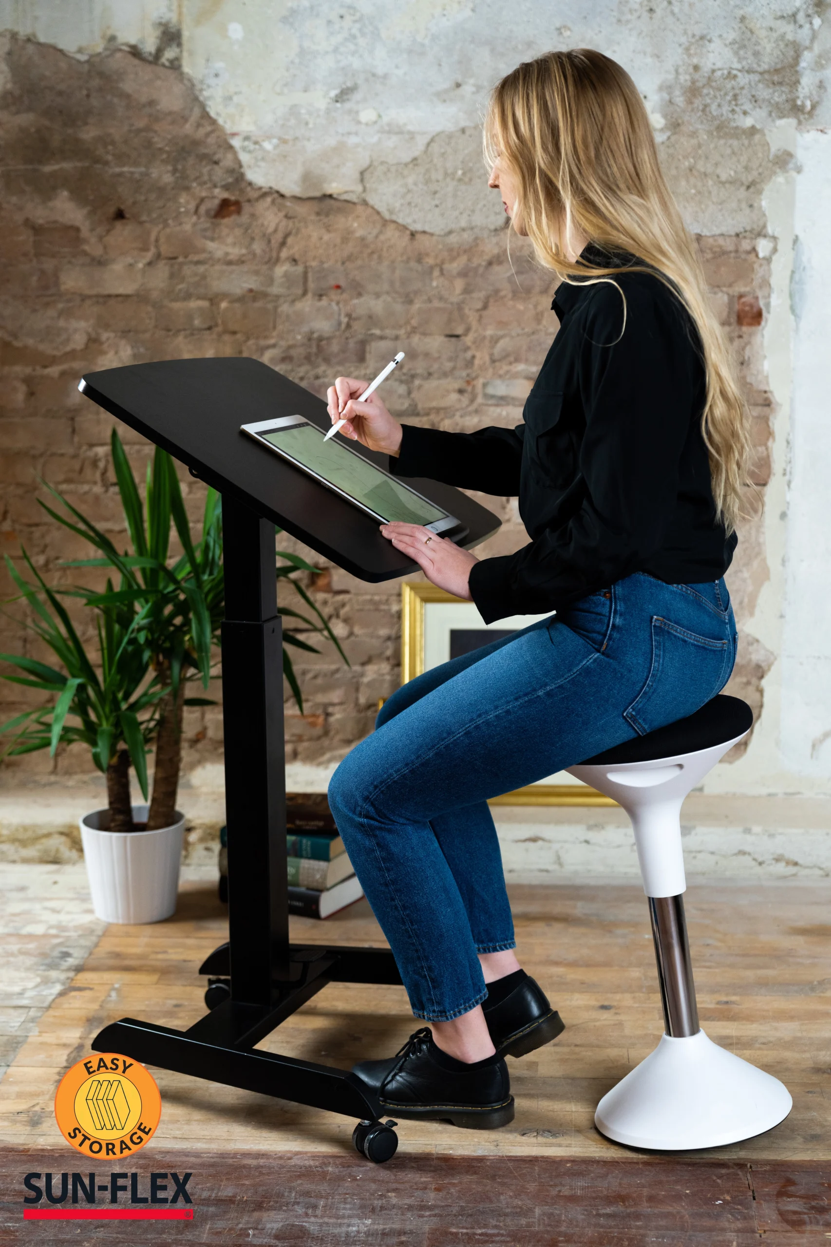 Easydesk PRO - Bild 12